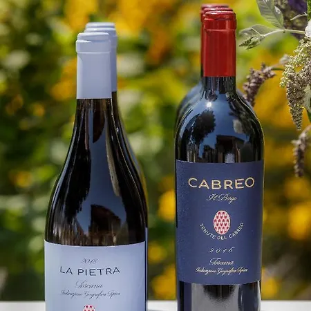 Отель La Pietra Del Cabreo